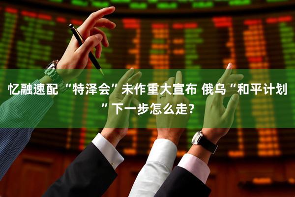 忆融速配 “特泽会”未作重大宣布 俄乌“和平计划”下一步怎么走？