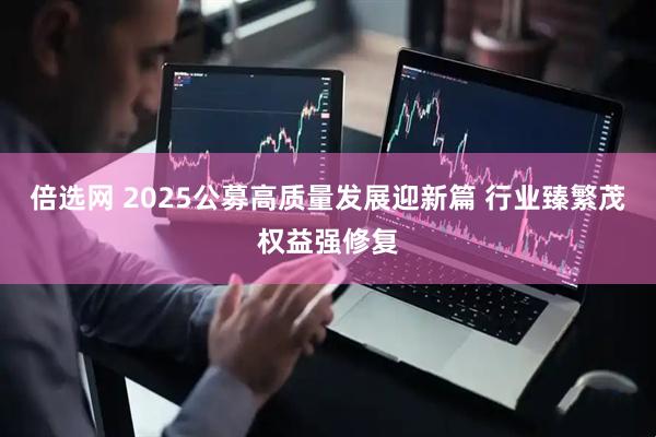 倍选网 2025公募高质量发展迎新篇 行业臻繁茂权益强修复